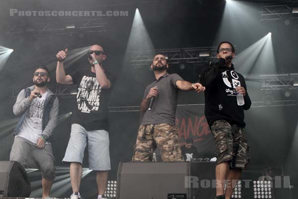 D-BANGERZ - 2014-07-05 - BELFORT - Presqu'ile du Malsaucy - 